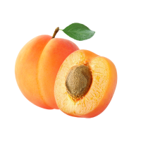 apricot 🟠