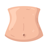 belly 🤰