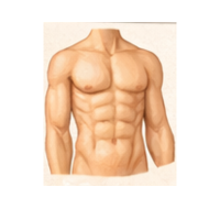 body