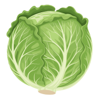 cabbage 🥬