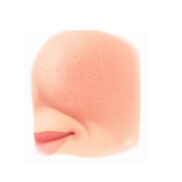 cheek