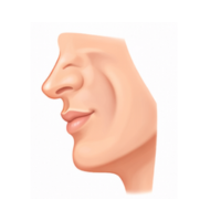 chin