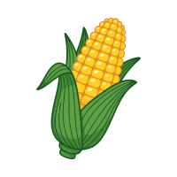 corn