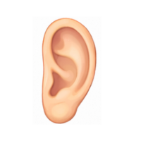 ear