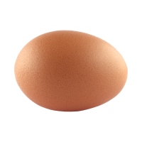 egg