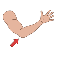 elbow