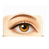 eyebrow