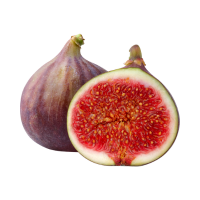 fig 🟣