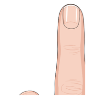 finger ☝️