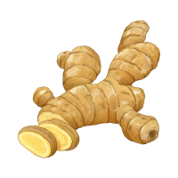 ginger