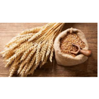 grain