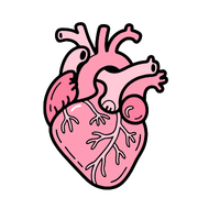 heart