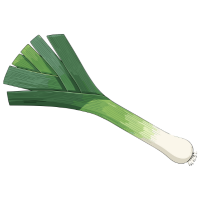 leek 🥬