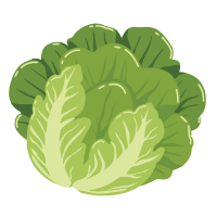 lettuce 🥬