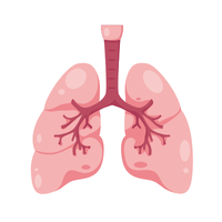lung