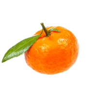 mandarin