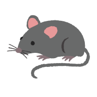 Mouse 🐭