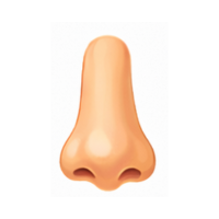 nose