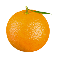 Orange 🍊