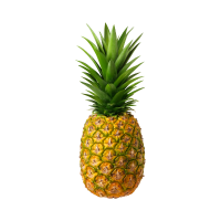 Pineapple 🍍