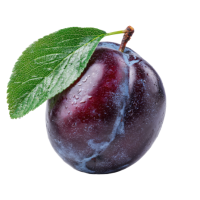 plum 🟣