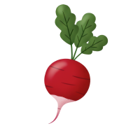 radish 🔴