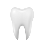 tooth