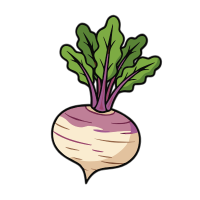 Turnip 🫚