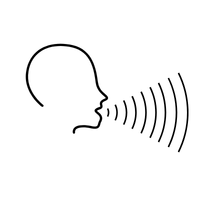 voice 🗣️