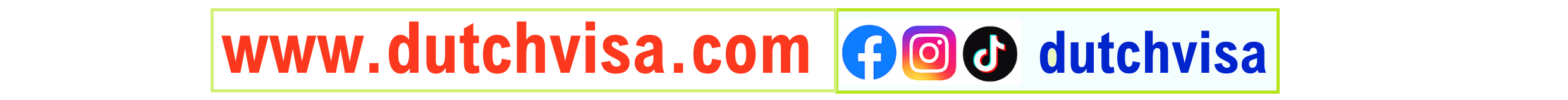 Facebook Instagram TikTok – dutchvisa