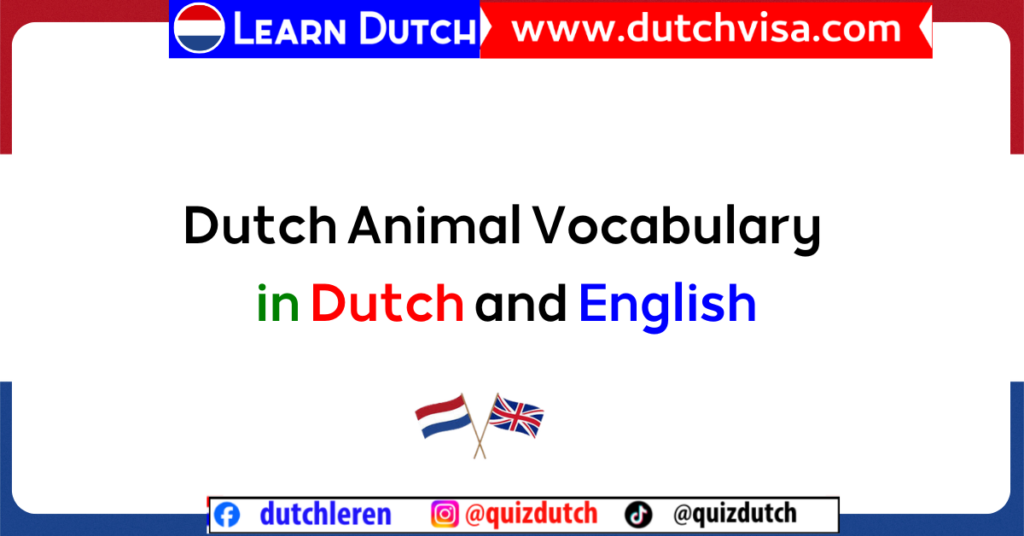 Dutch Animal Vocabulary: Essential Words & Phrases!